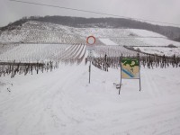 Leutesdorf im Schnee